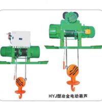 常州市電動葫蘆維修